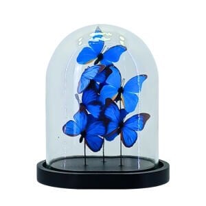 Kelebekli Fanus 23x28cm