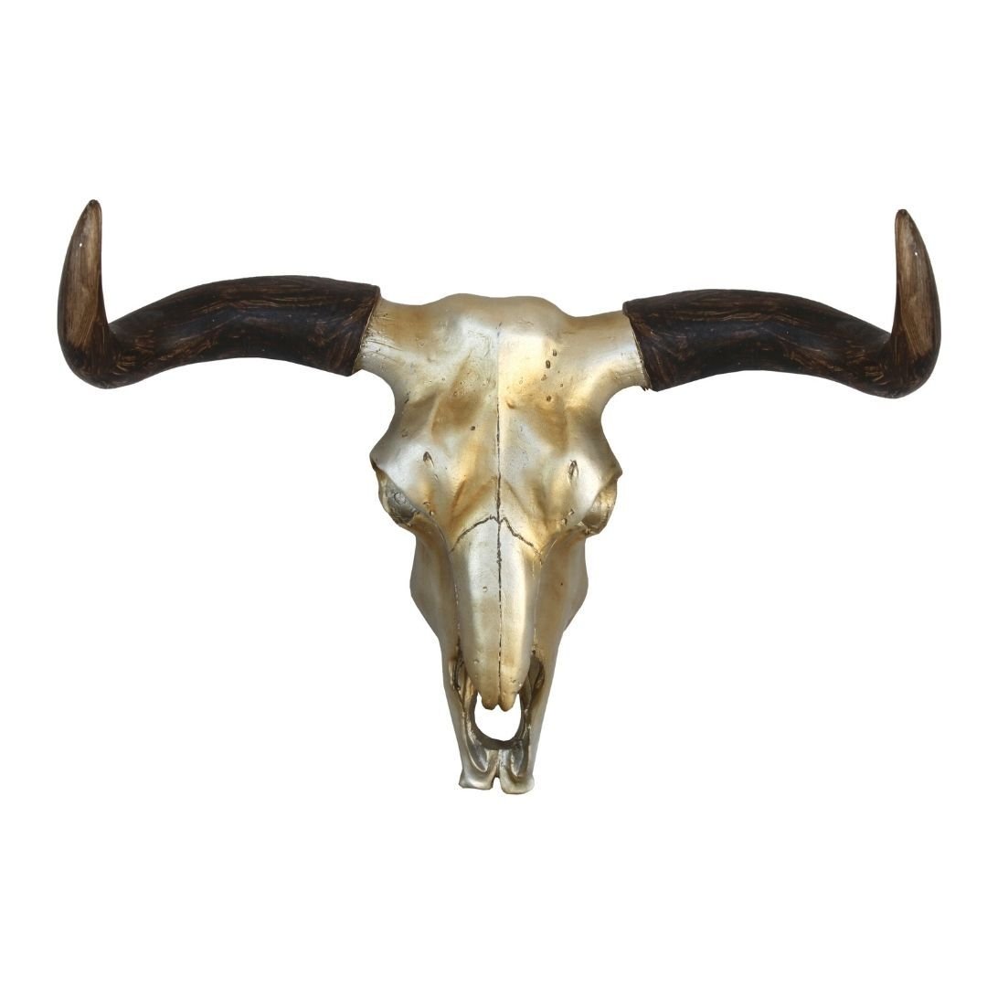 Ancona Buffalo Duvar Dekoru 21x29cm