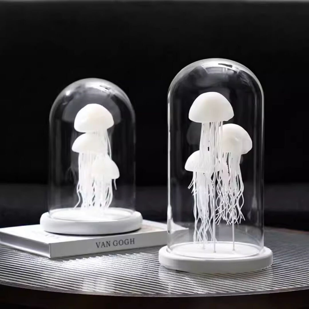 Denizanası Fanus Obje K.Boy 18x24cm