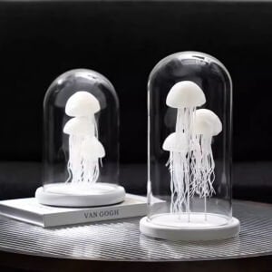 Denizanası Fanus Obje K.Boy 18x24cm