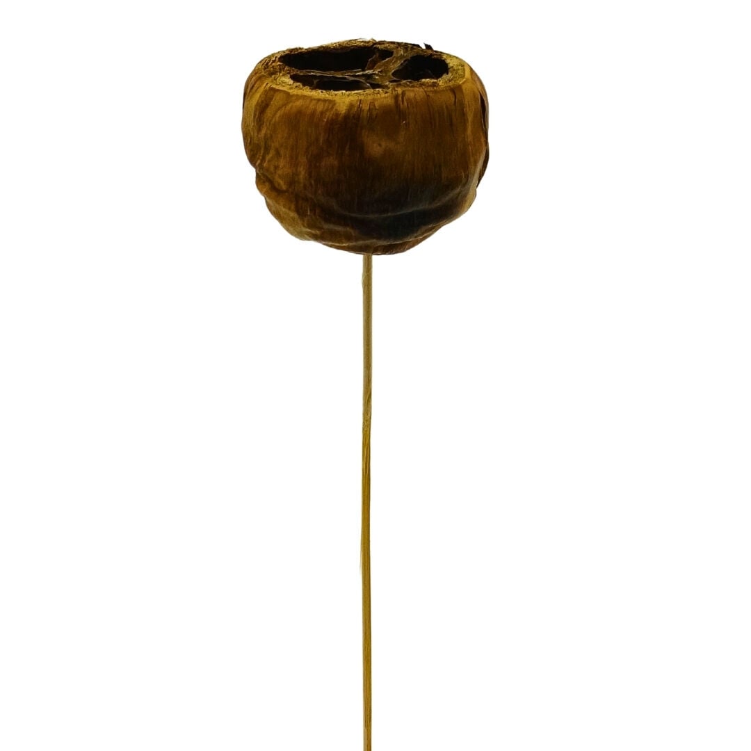 Çiçek Kuru Dal Bitki 40cm