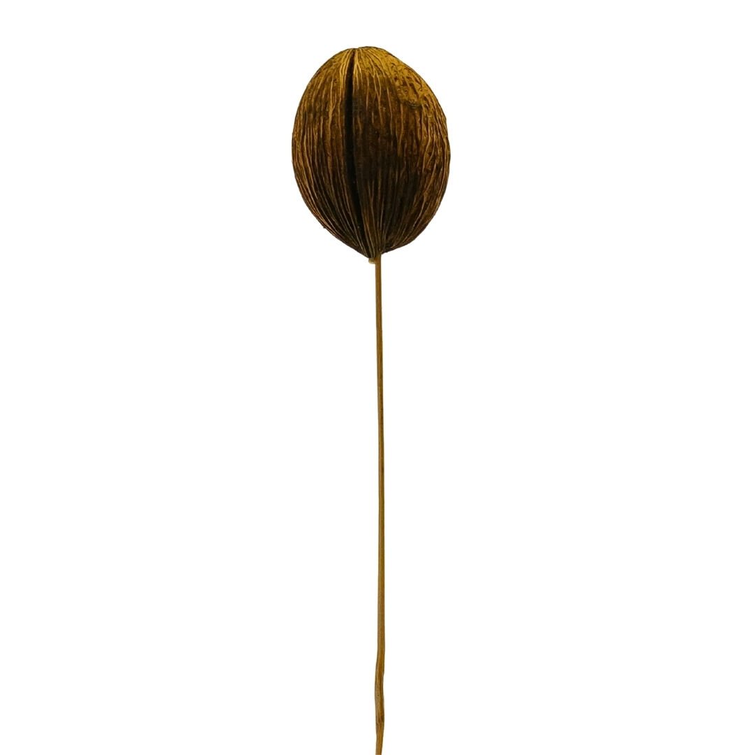 Çiçek Kuru Dal Bitki 50cm
