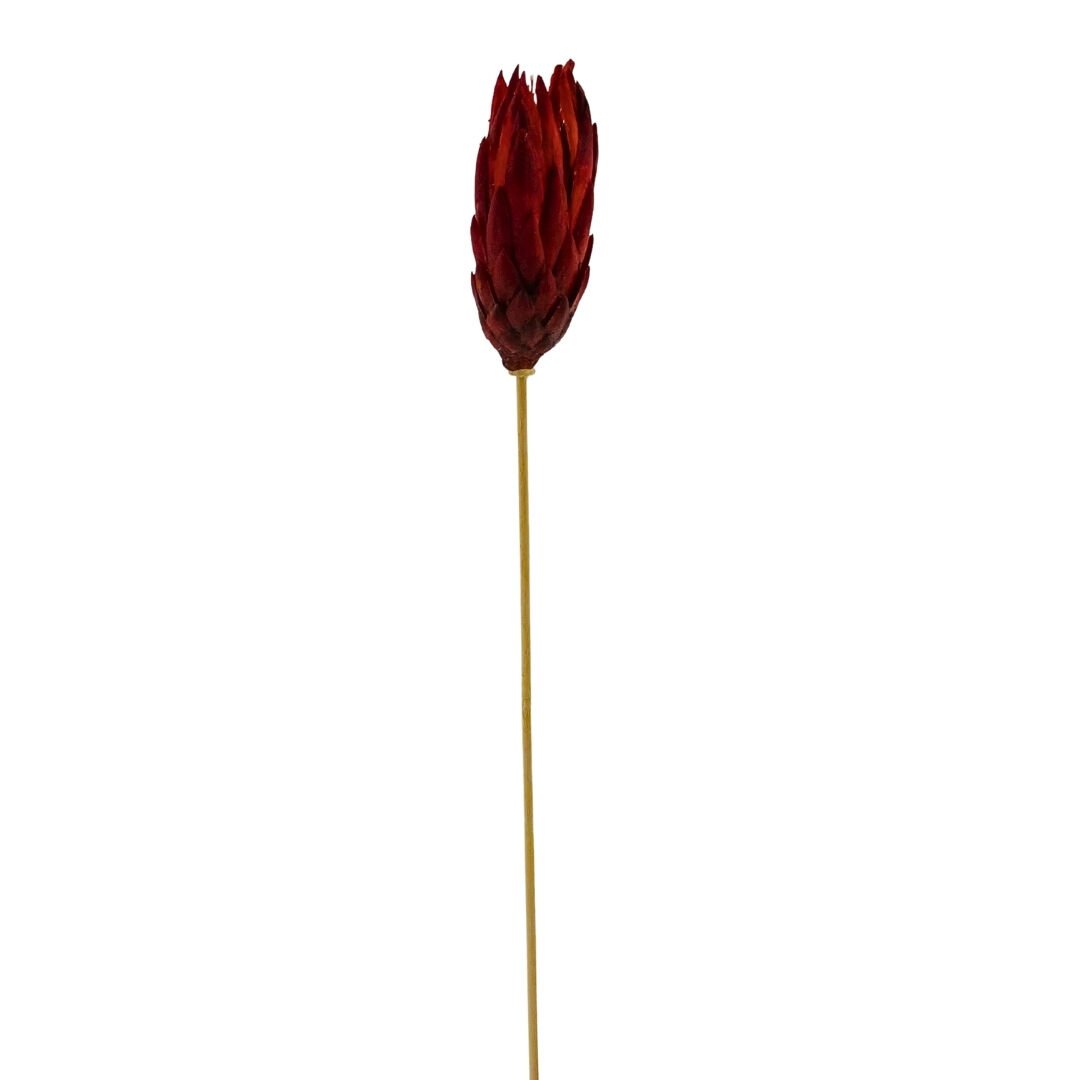 Çiçek Kuru Dal Bitki 50cm