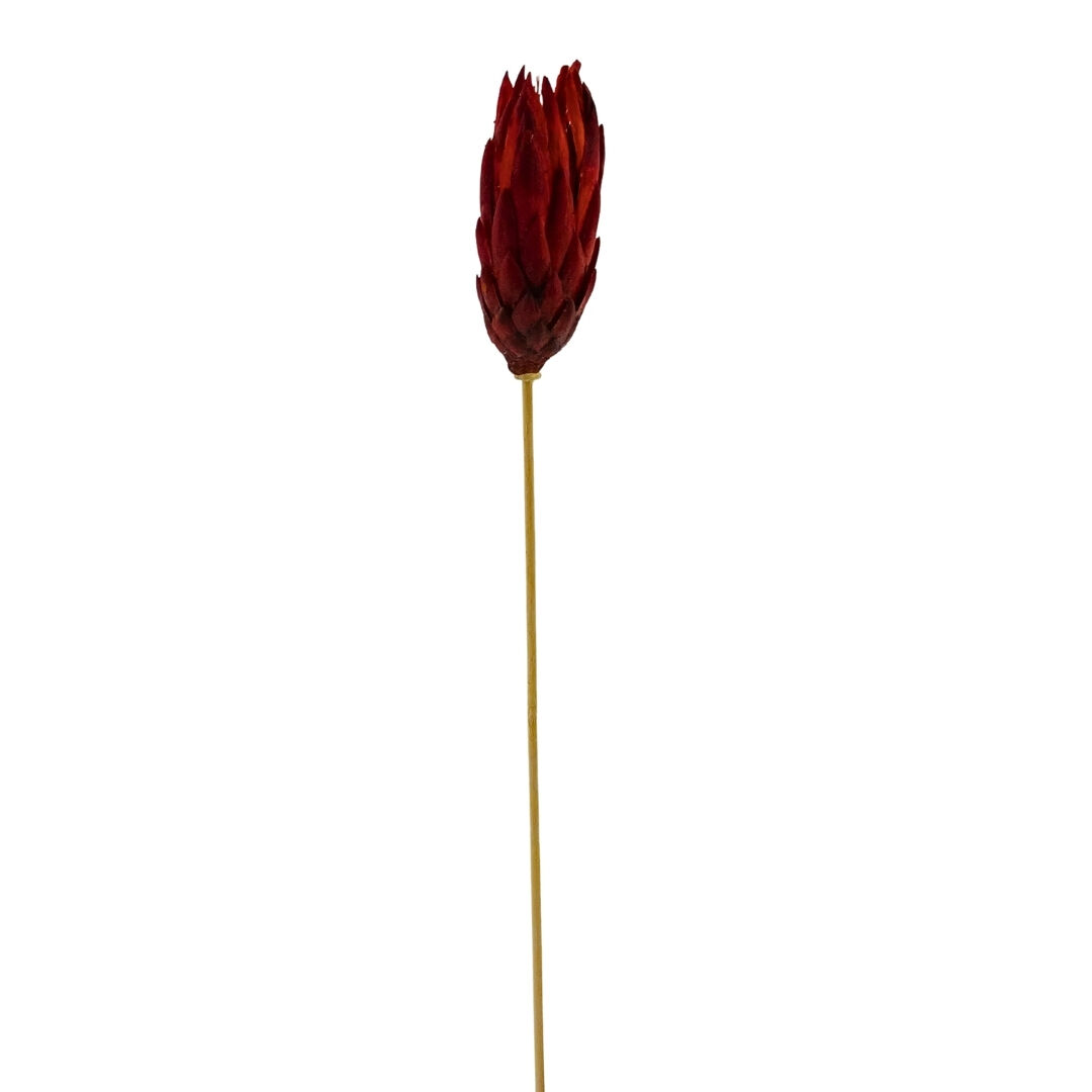 Çiçek Kuru Dal Bitki 50cm