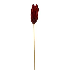 Çiçek Kuru Dal Bitki 50cm