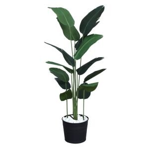 Starliçe Ağaç 195cm