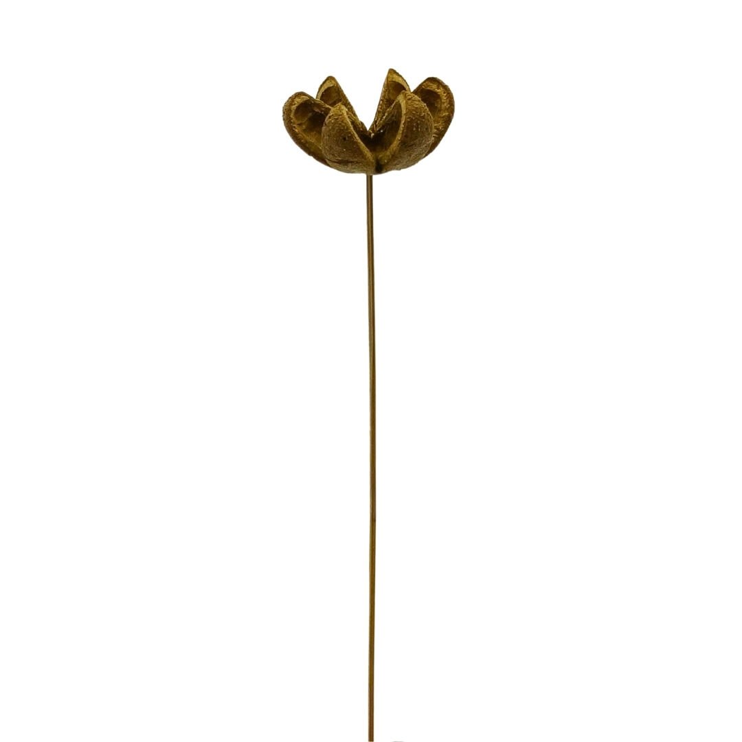 Çiçek Kuru Dal Bitki 45cm