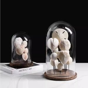 Taşlar Fanus Obje 17x24cm