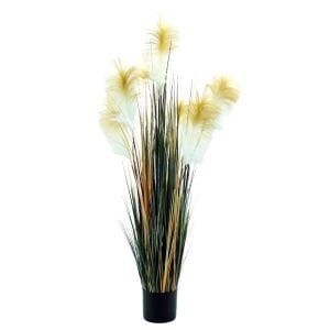 İnciraltı Tilki Kuyruğu Sazlık 33x126cm