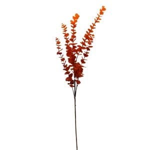 Okaliptüs Turuncu 26x88cm