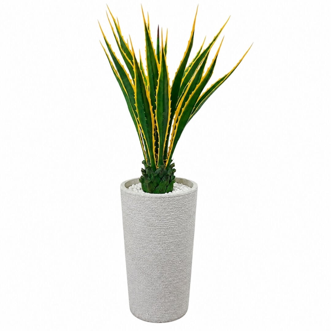 Paşa Kılıcı Ağaç 65x150cm