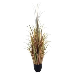 İnciraltı Saksılı Sazlık 60x143cm