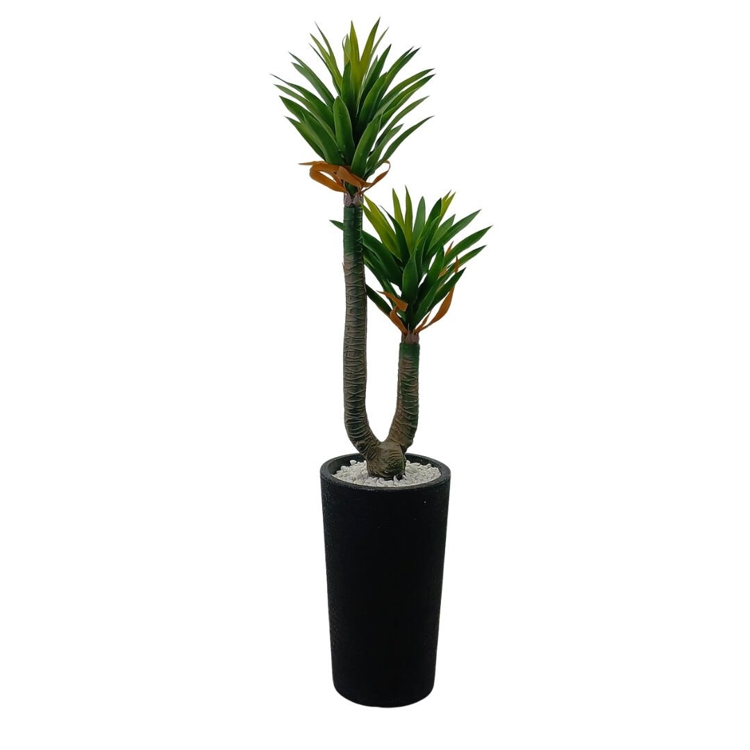 2li Yucca Ağaç 65x180cm