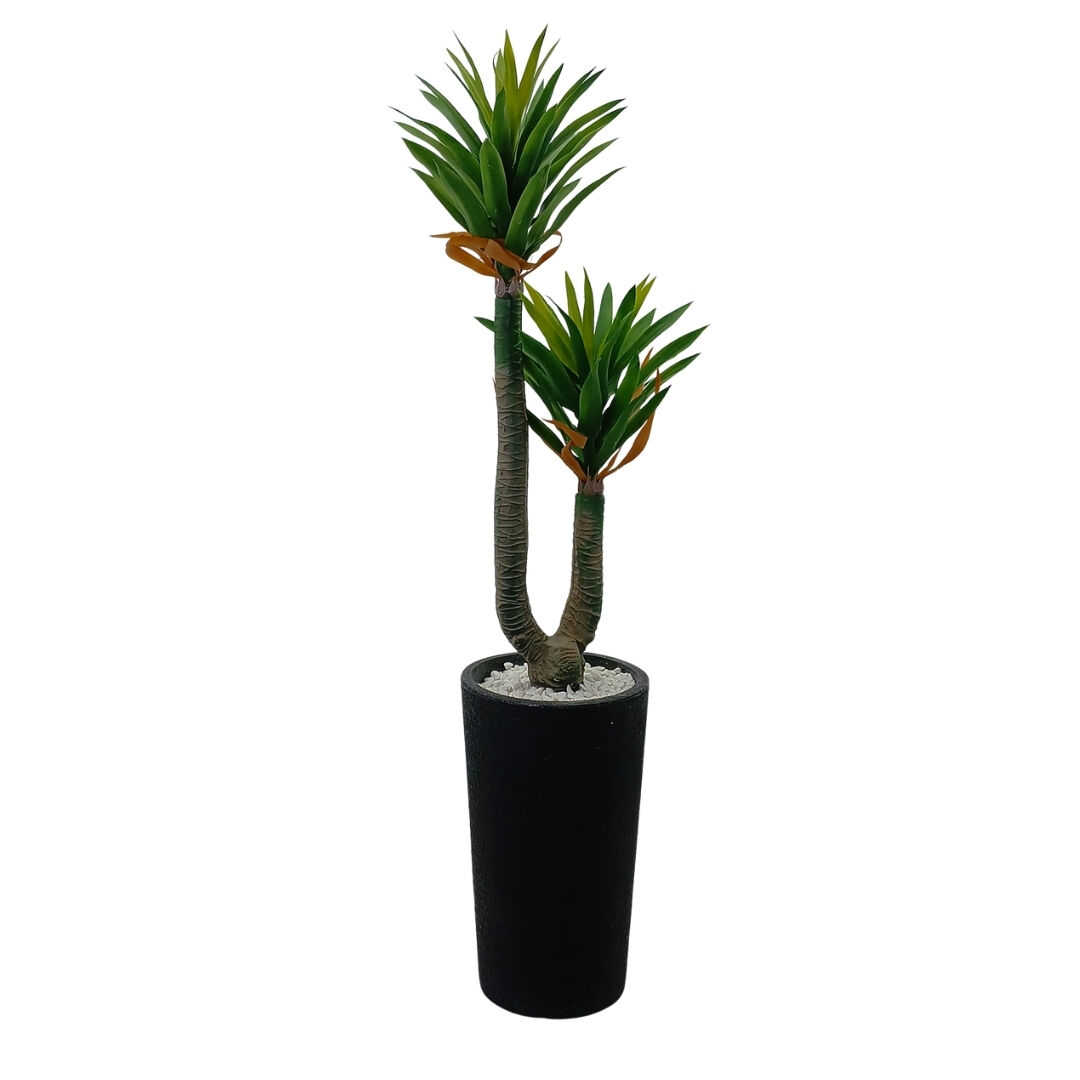 2li Yucca Ağaç 65x180cm