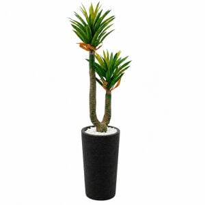 2li Yucca Ağaç 65x180cm