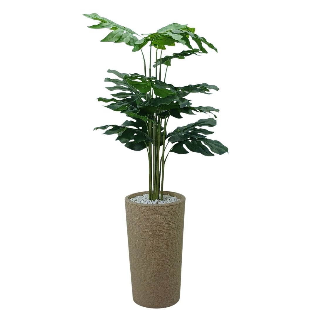 Devetabanı Ağaç 80x170cm