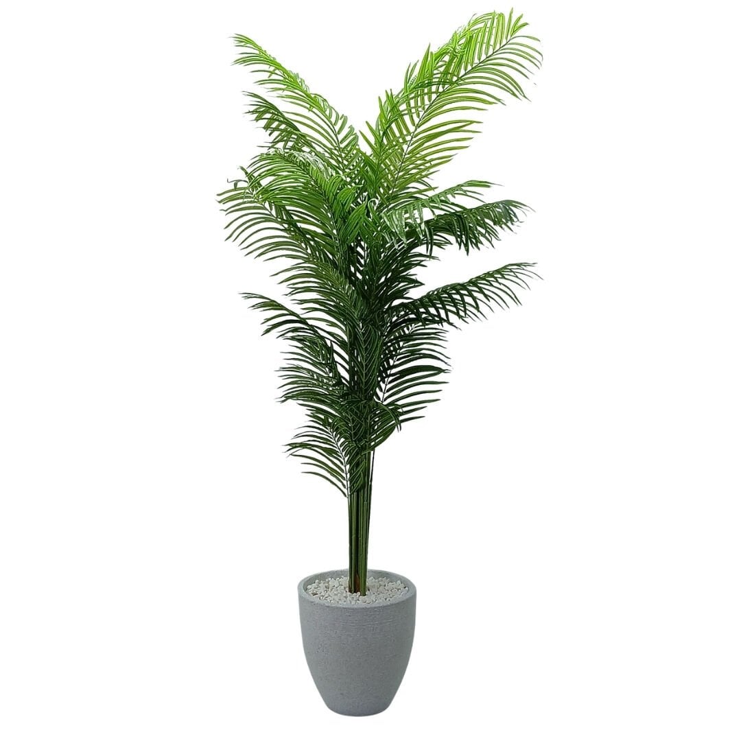 Areka Palmiye 100x220cm