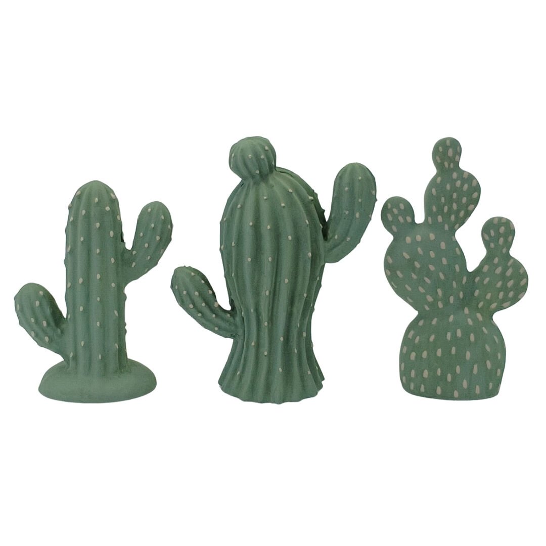 3lü Set Kaktüs Yeşil 16x22cm