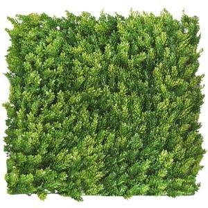 Levha Yeşil Bitki 55x55cm