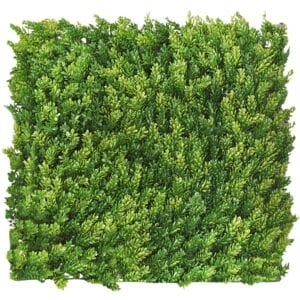 Levha Yeşil Bitki 55x55cm