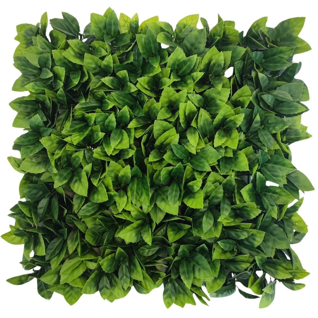 Levha Yeşil Bitki 55x55cm