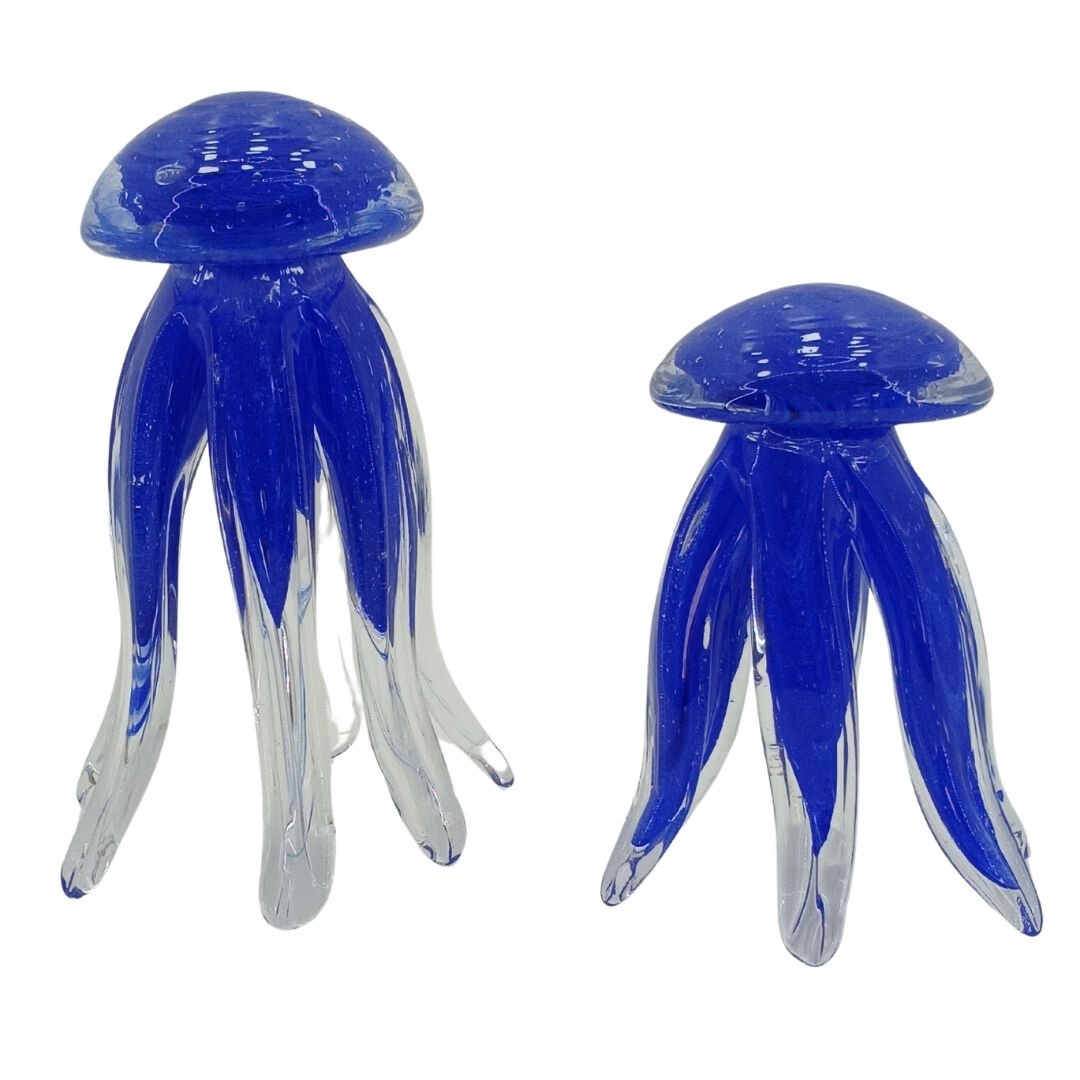 2li Set Deniz Anası Mavi 11x17cm