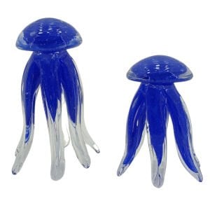 2li Set Deniz Anası Mavi 11x17cm