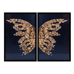 2li Set Epoksi Kelebek Tablo 95x130cm