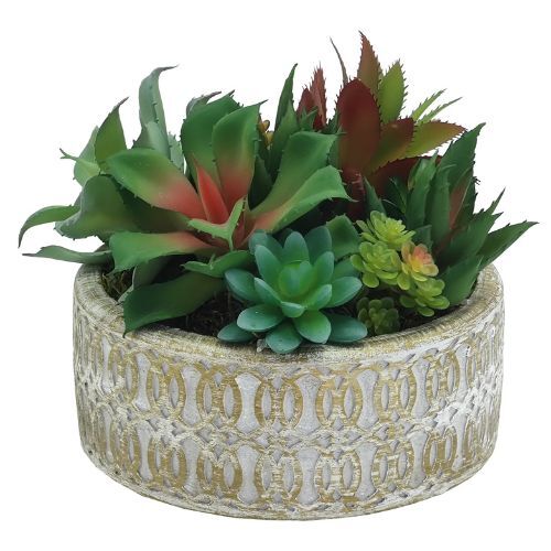 Saksılı Bitki 20x16cm