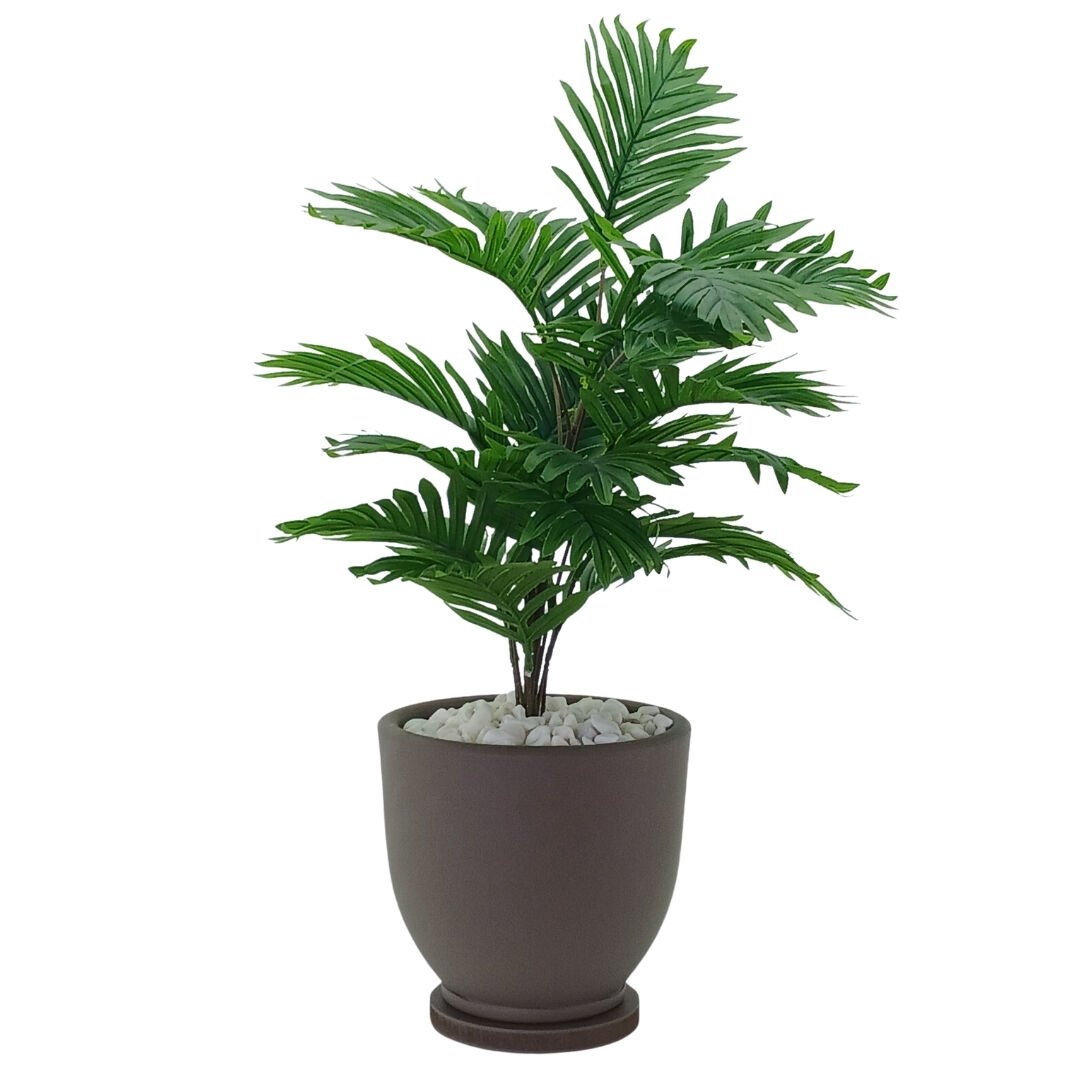 Saksılı Bitki 50x80cm