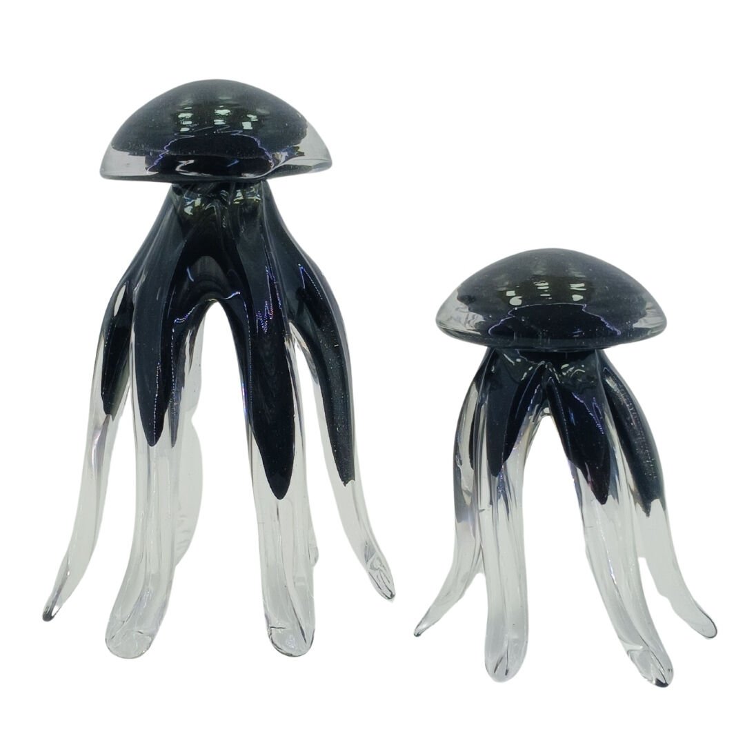 2li Set Deniz Anası Siyah 11x17cm