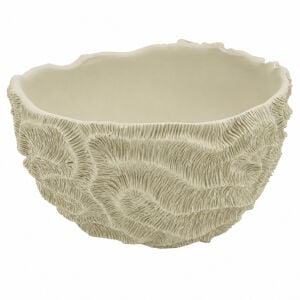 İstiridye Gondol Ladin 19x34cm