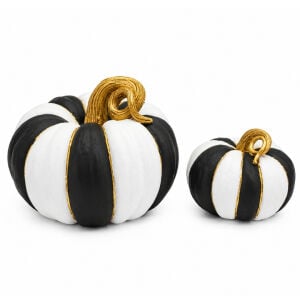 2li Set Balkabağı 24x30cm