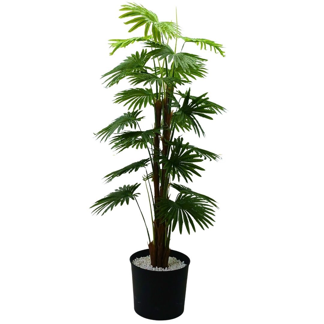 Palmiye Ağaç 80x180cm