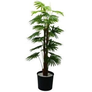 Palmiye Ağaç 80x180cm