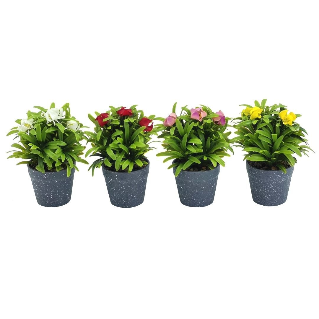 Saksılı Çiçek 12x17cm