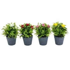 Saksılı Çiçek 12x17cm