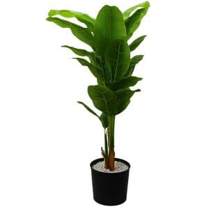 Muz Ağacı 90x190cm