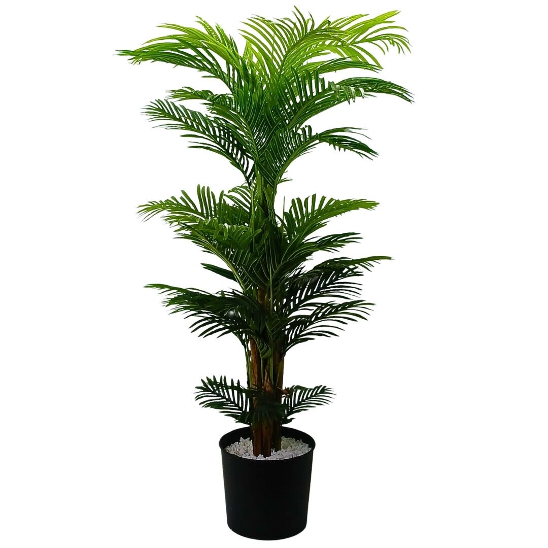 Areka Palmiye 110x200cm