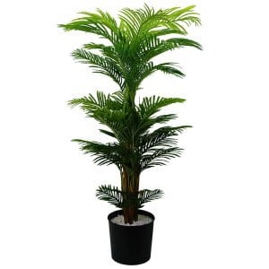 Areka Palmiye 110x200cm