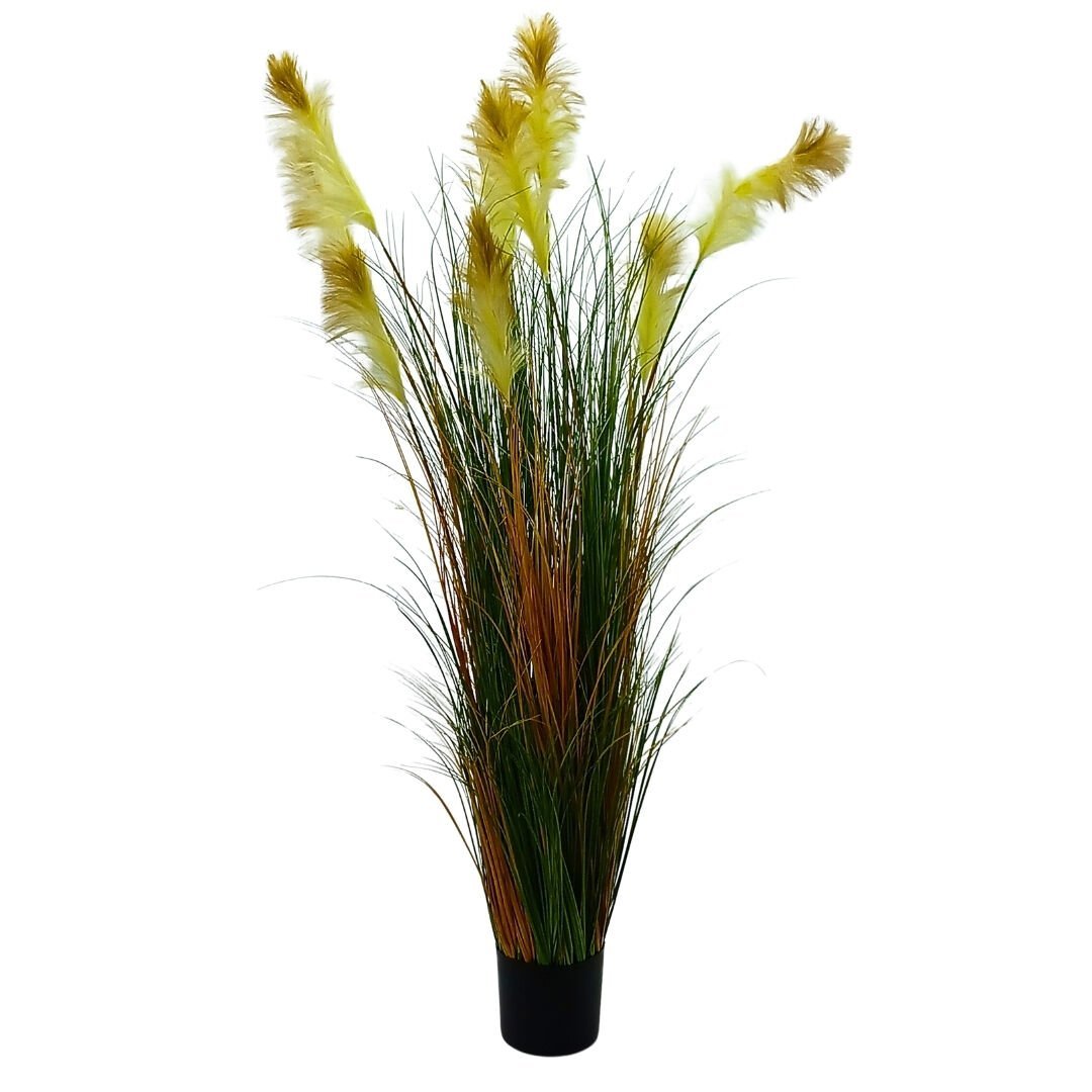 İnciraltı Sazlık 70x180cm