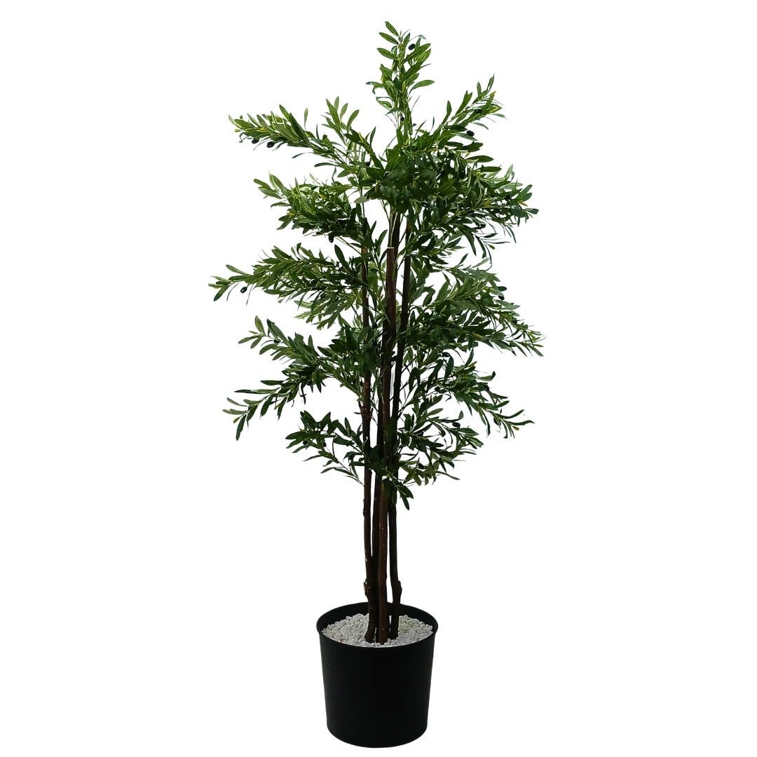 Zeytin Ağacı 100x210cm