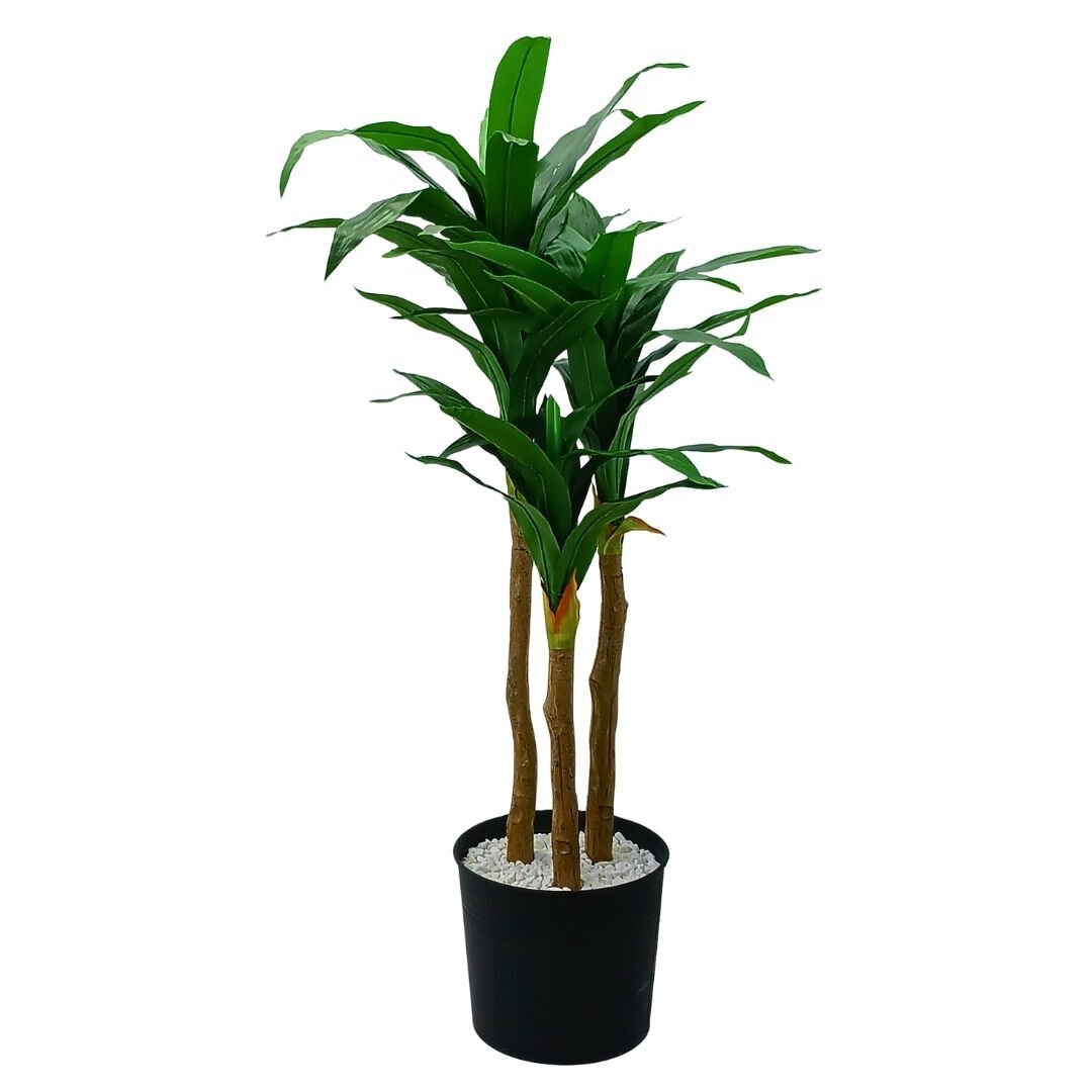 3lü Yucca Ağaç 90x170cm