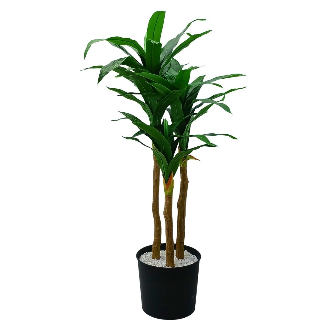 3lü Yucca Ağaç 90x170cm