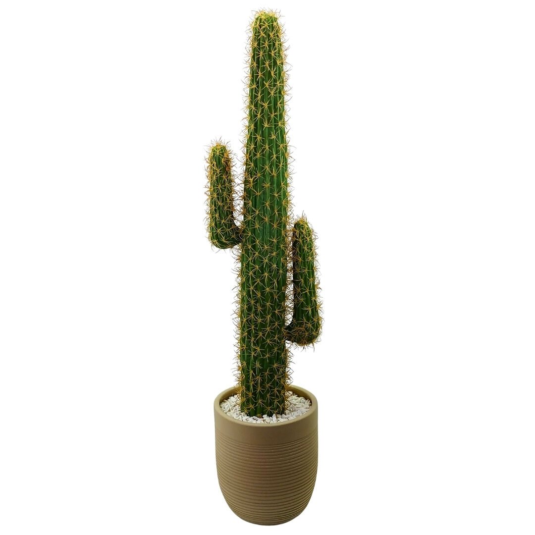 Kaktüs Ağacı 40x165cm