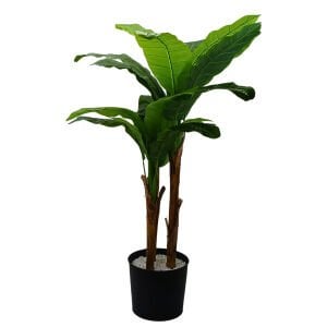 3lü Gövde Muz Ağacı 100x200cm