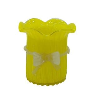 Fiyonk Cam Vazo 23x24cm