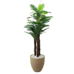 3lü Palmiye Ağaç 90x200cm