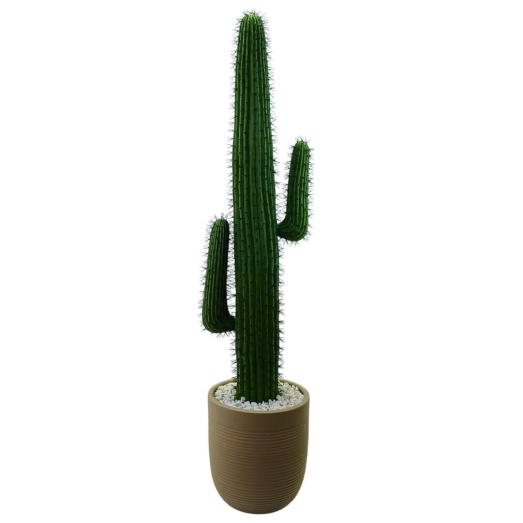 Kaktüs Ağacı 40x165cm