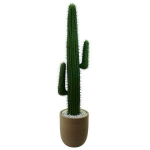 Kaktüs Ağacı 40x165cm